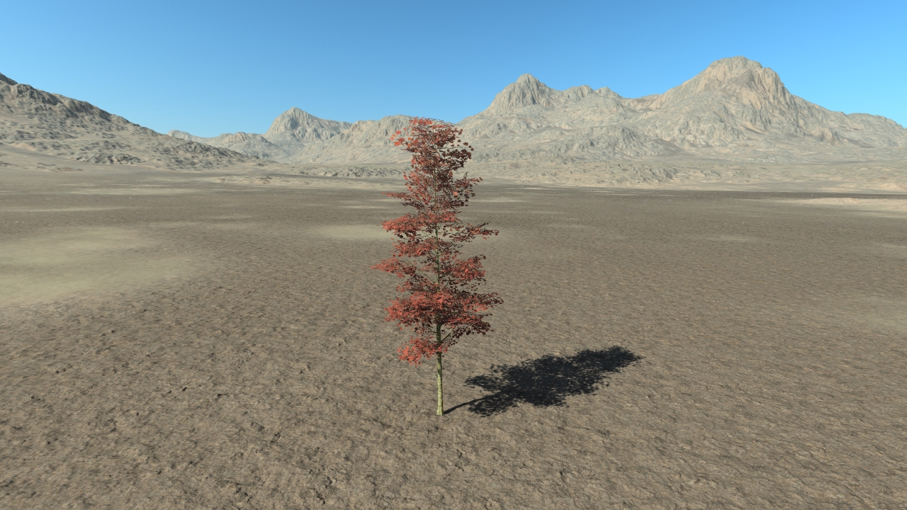 Summer Red Maple Trees_4