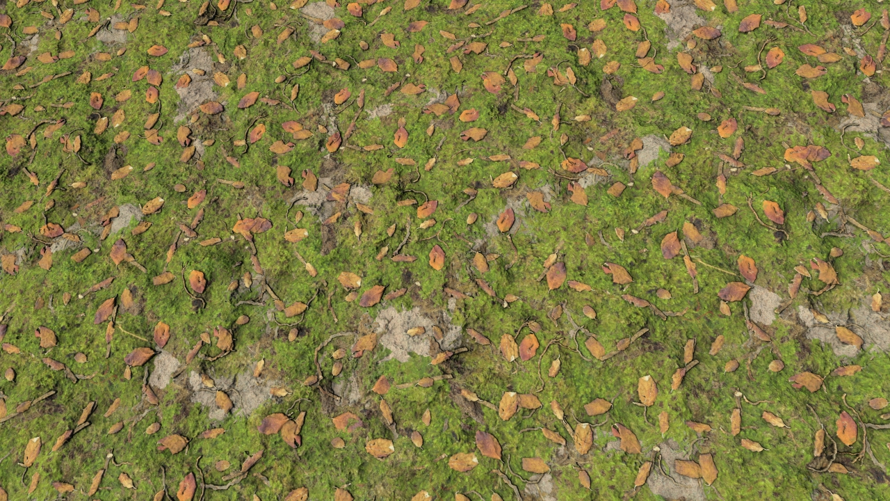 Forest grounds with leaves_1