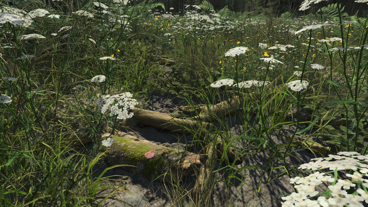 Small ground branches_0