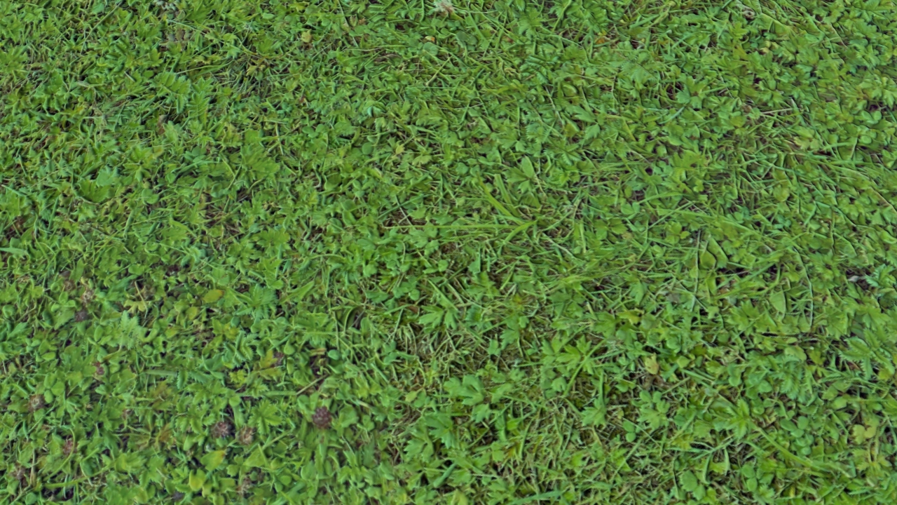 Grass covered soils_1