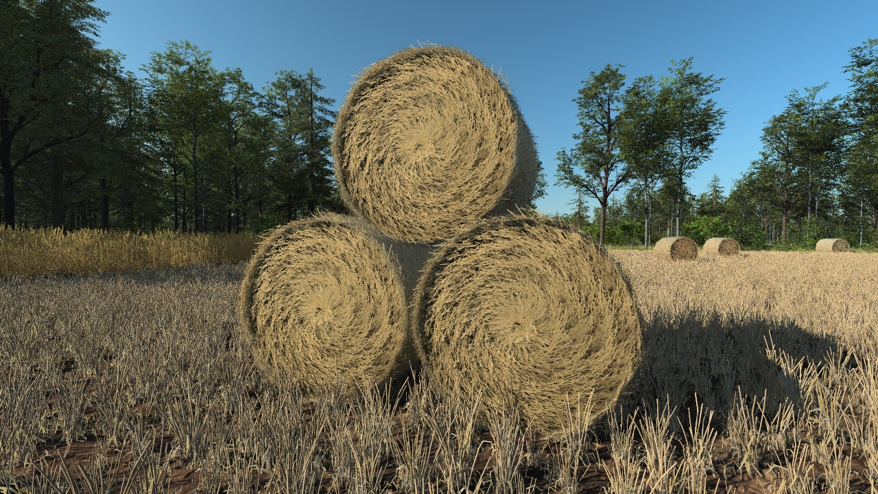 Hay bales_2