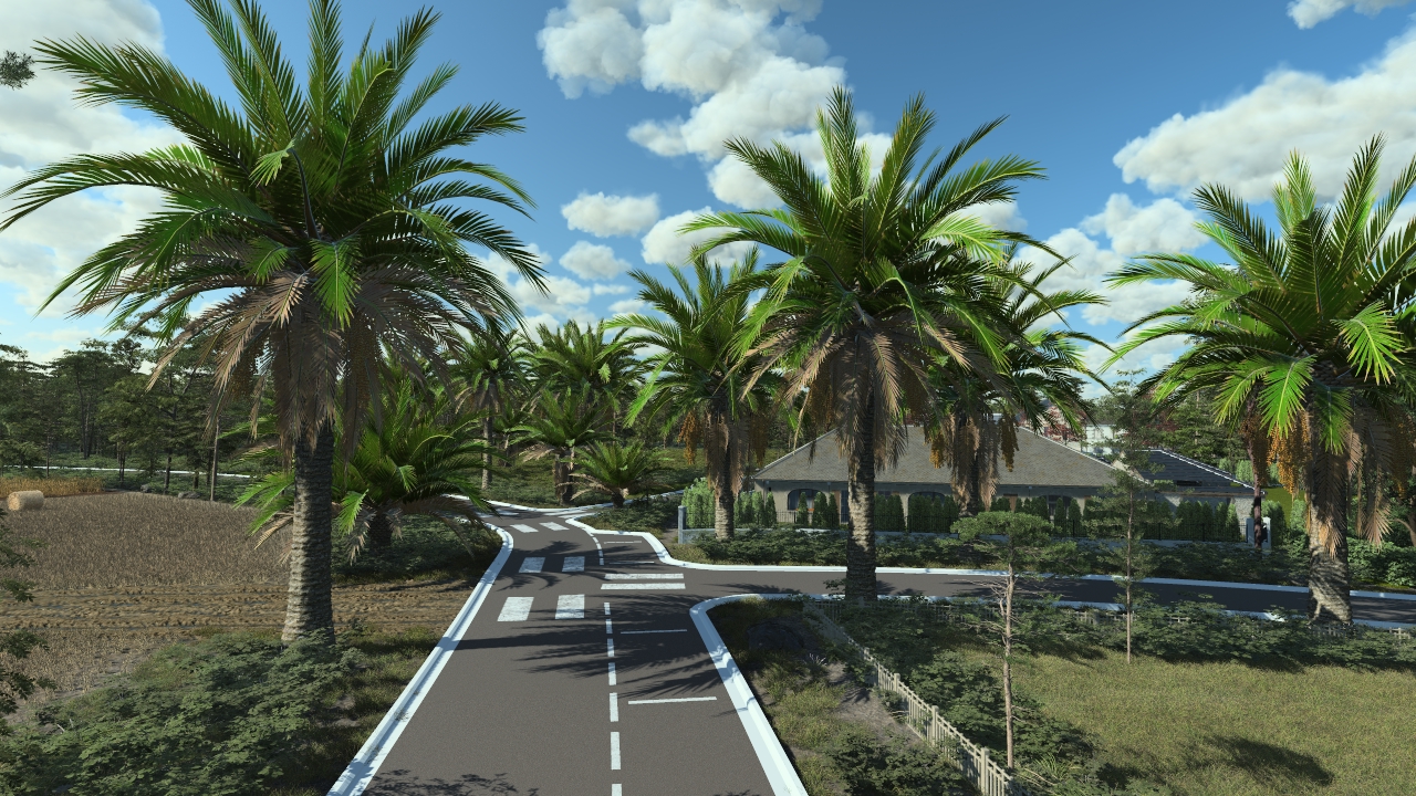 Canary palm trees_1