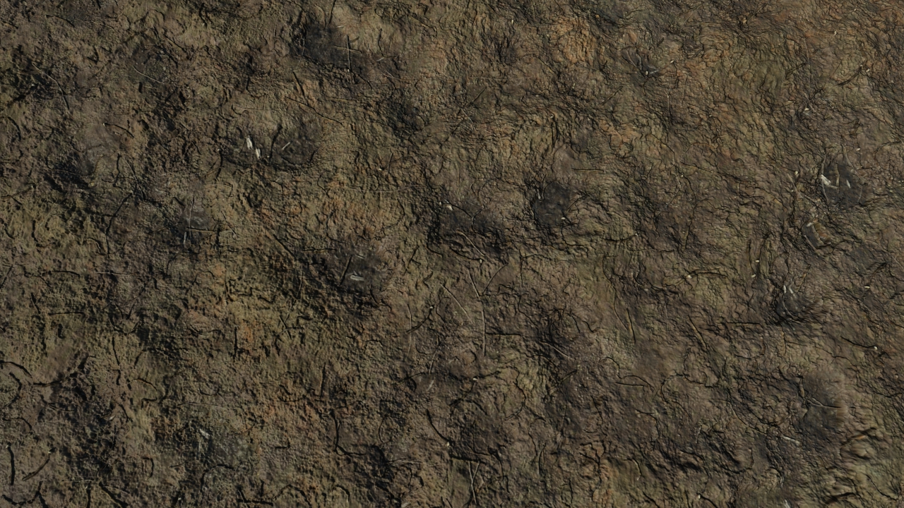 Wet grounds_3