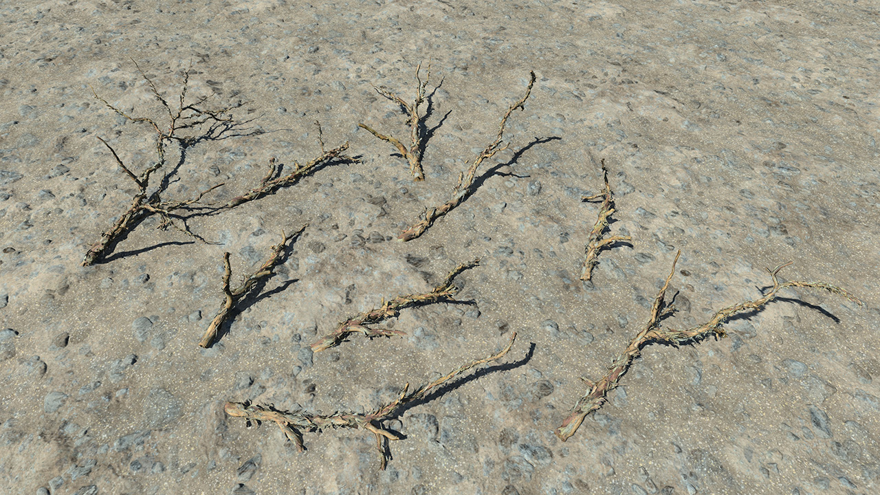 Dead Branches_4