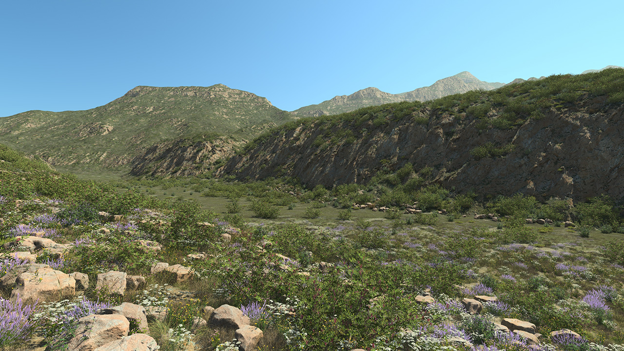 Maquis Summer_3
