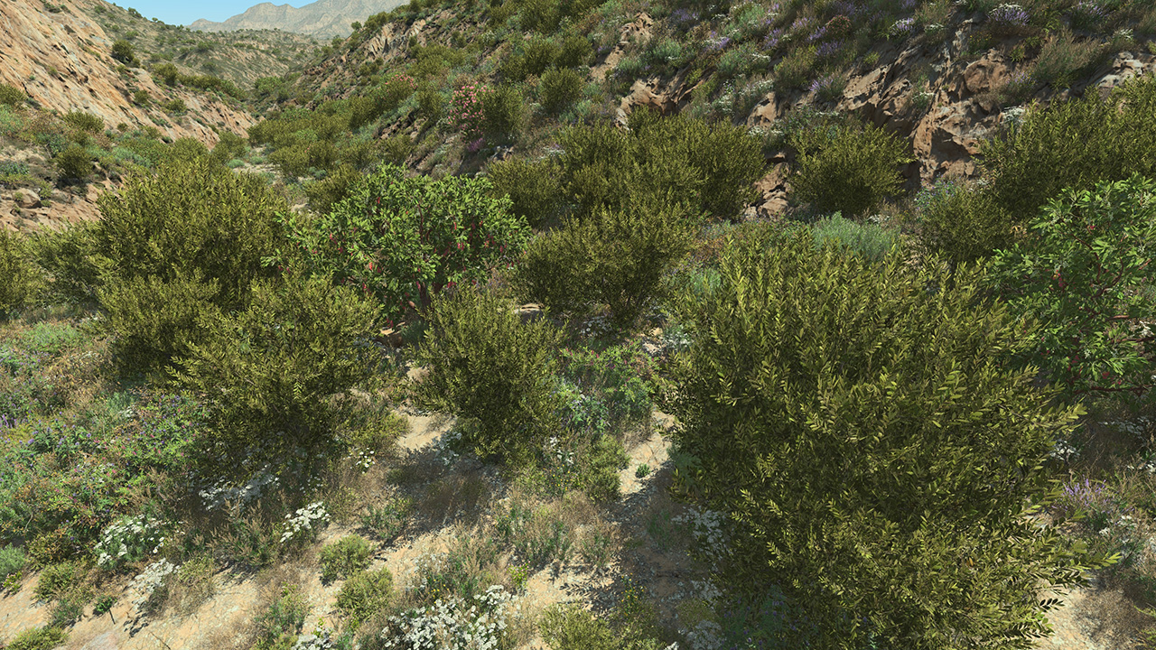 Laurel Wild Bushes_1