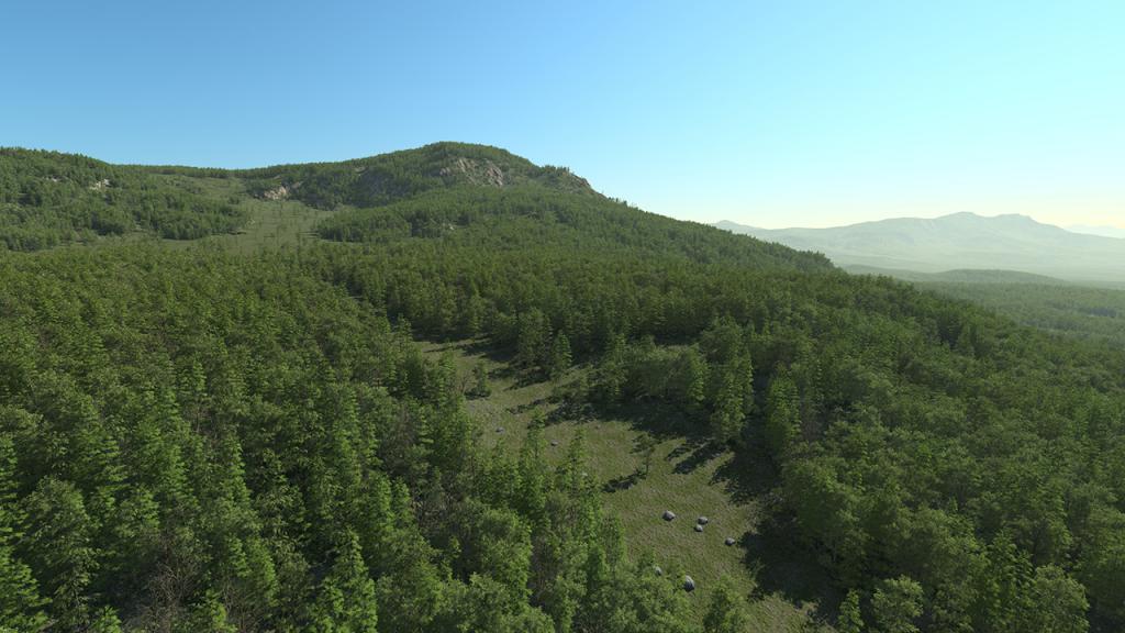 South Of France Broadleaf Forest