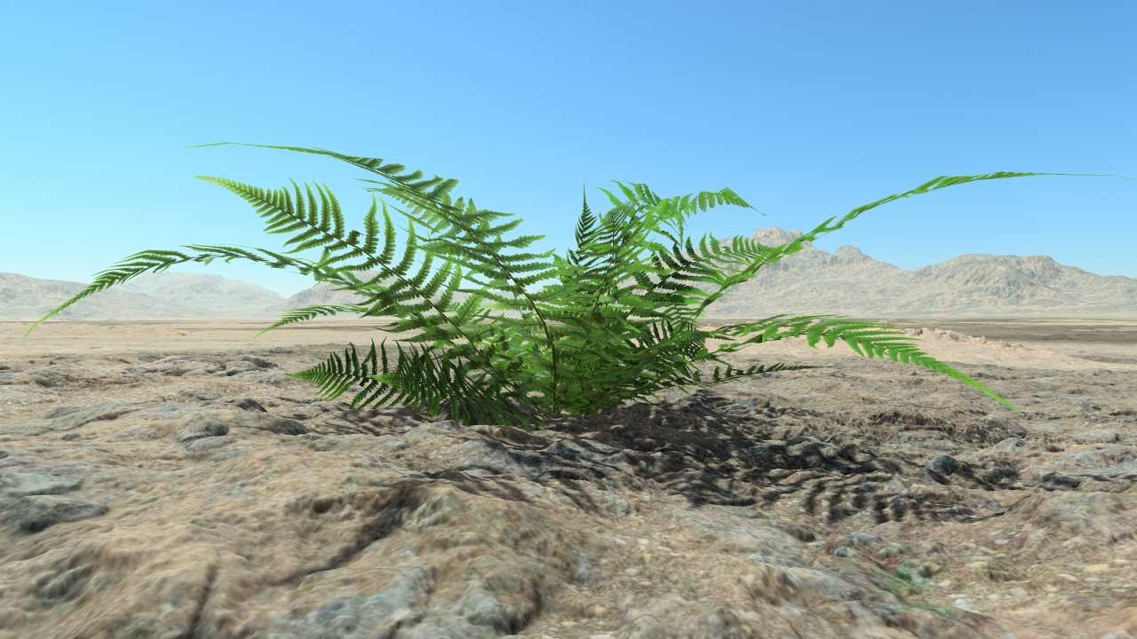 Summer ferns_1