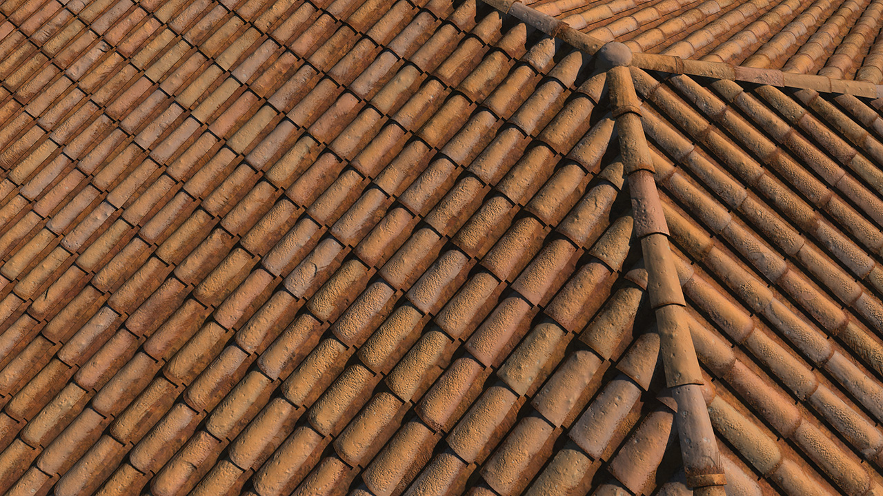 Old terracotta roof tiles_0