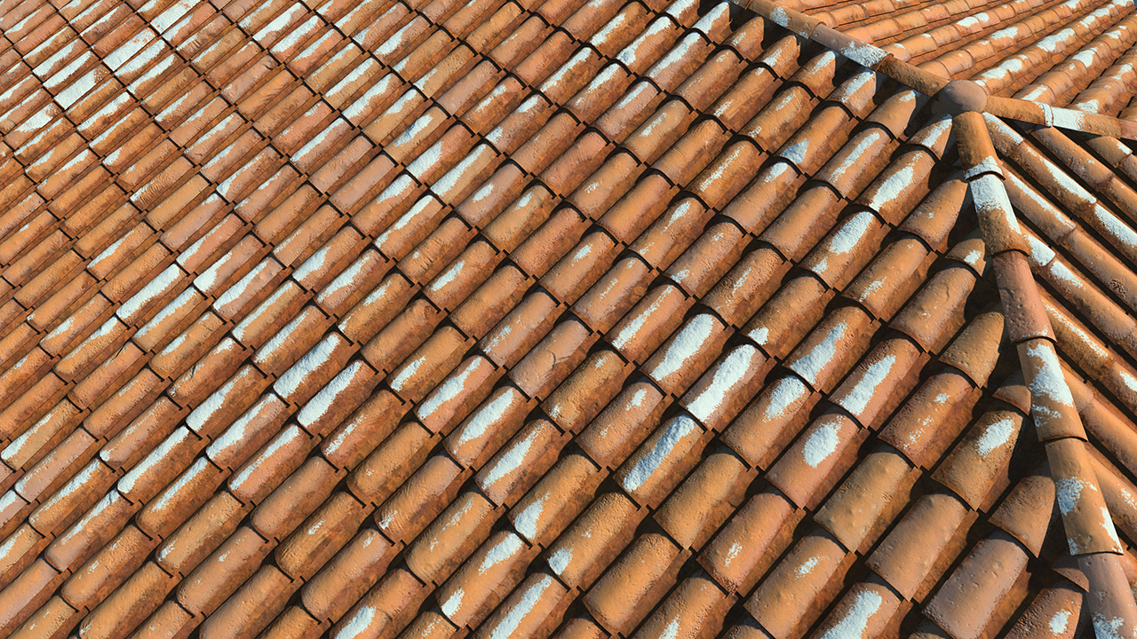 Old terracotta roof tiles_4