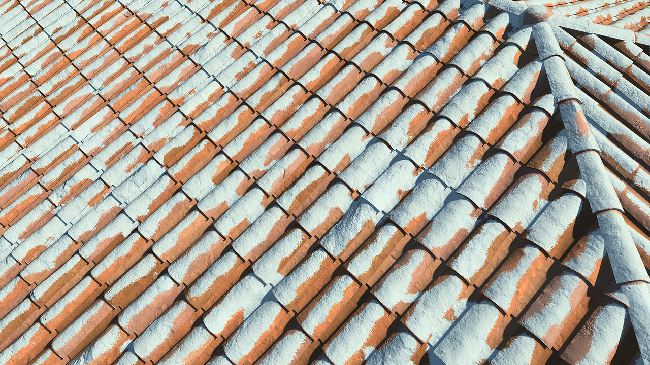 Old terracotta roof tiles_5