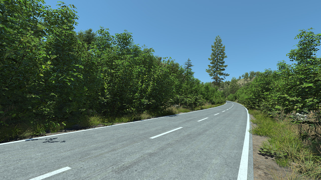Roadside Bushes_0