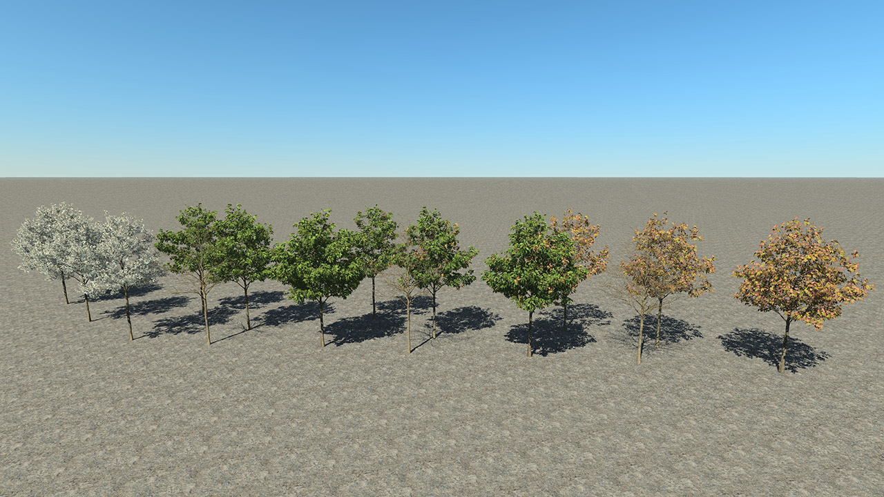 Small Cherry Trees_4