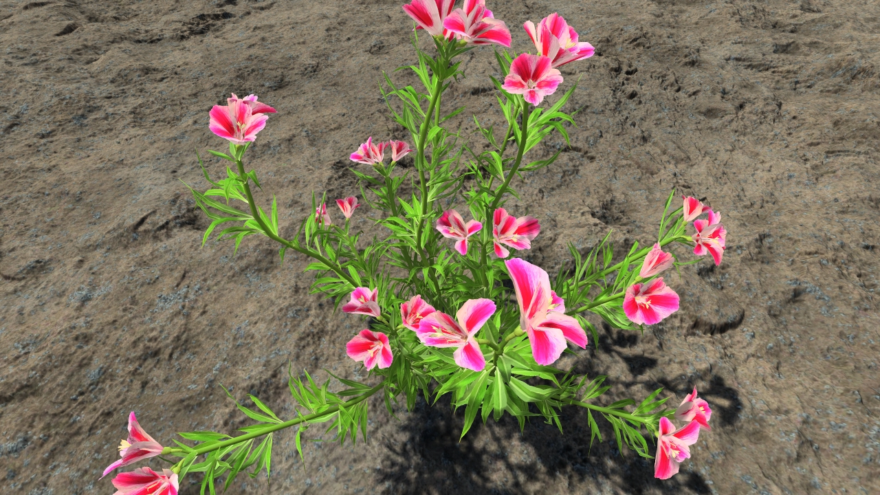 Farewell to spring_1