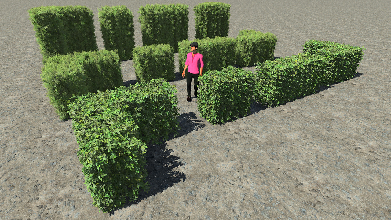 Trimmed hedge elements_0