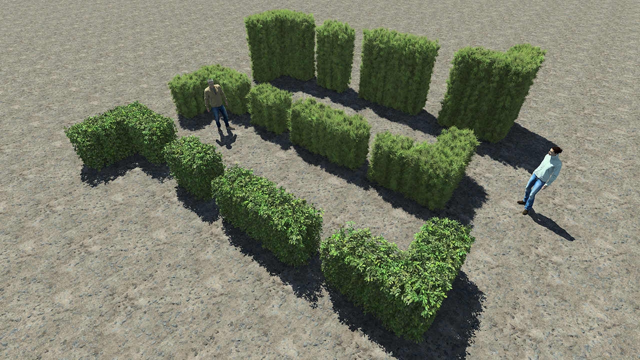 Trimmed hedge elements_1