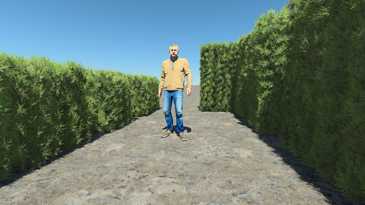 Trimmed hedge elements_2