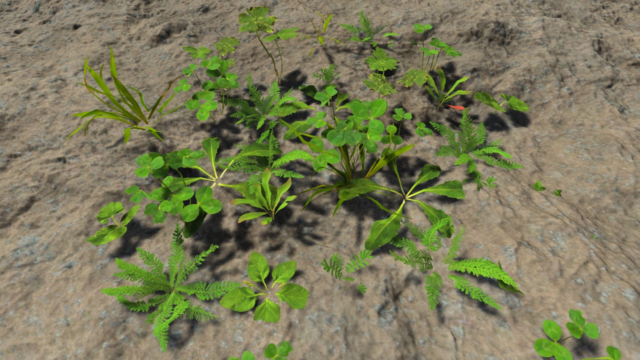 Lawn grass patches_4