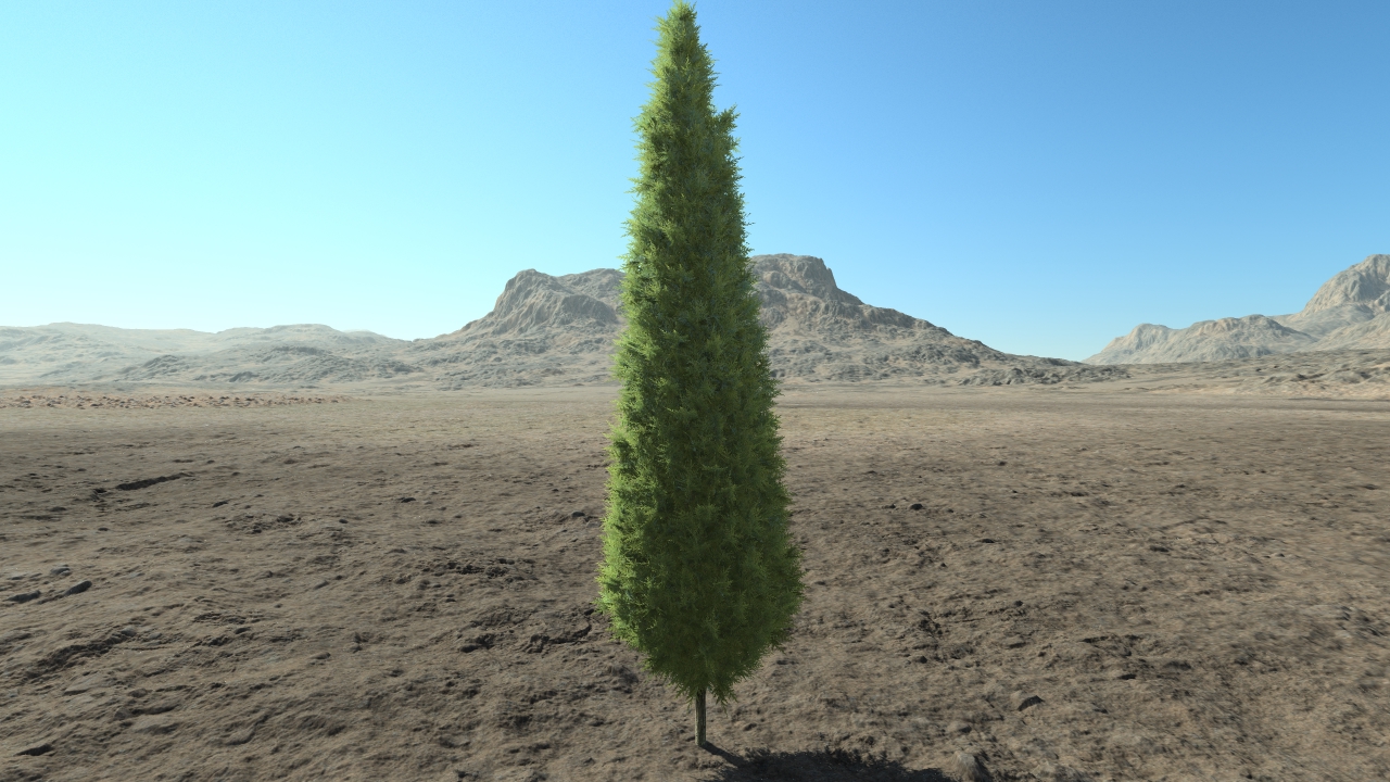 High thuja hedge_0