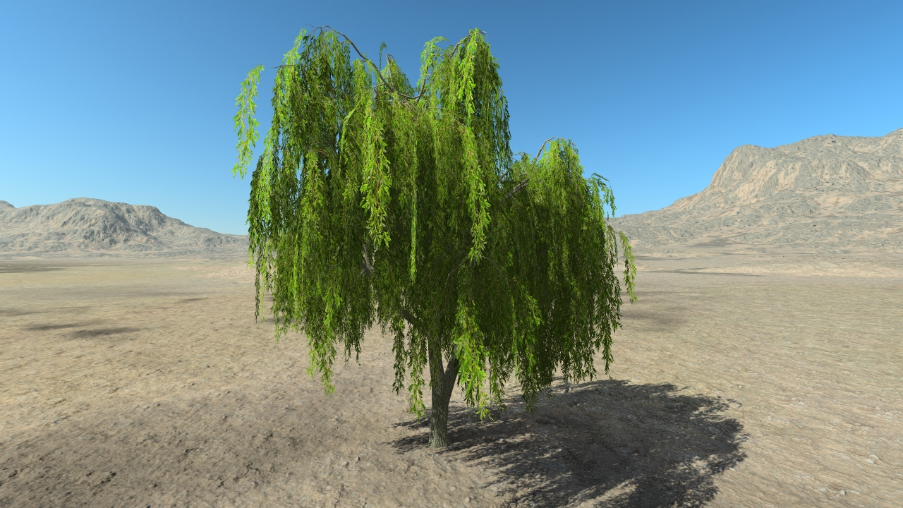 Summer weeping willows_4